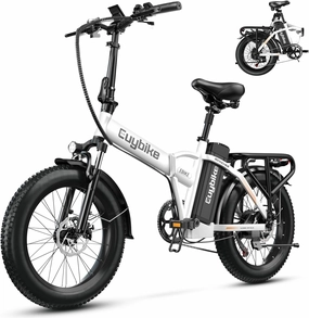 1000W Folding Electric Bike, 48V 20AH Large Removable Battery E Bike, 30 MPH, 80 Miles Max Range, 20" Fat Tire Electric Bike for Adults, Adult Electric Bicycles for Commute Beach Snow