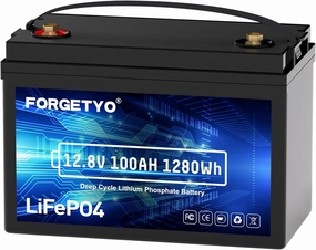 12V 100Ah Rechargeable Lifepo4 Battery, LifePO4 Lithium Battery,5000 Deep Cycles, 100A BMS, Perfect for Trolling Motors, Marine, Rv, Solar, Boat, Home Energy Storage