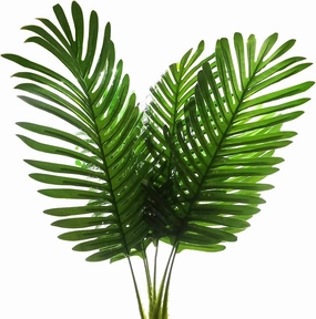 5 Pack Palm Artificial Plants Leaf for Home Kitchen Party Flowers Arrangement Wedding Decorations,Faux Large Tropical Palm Leaves Imitation Ferns