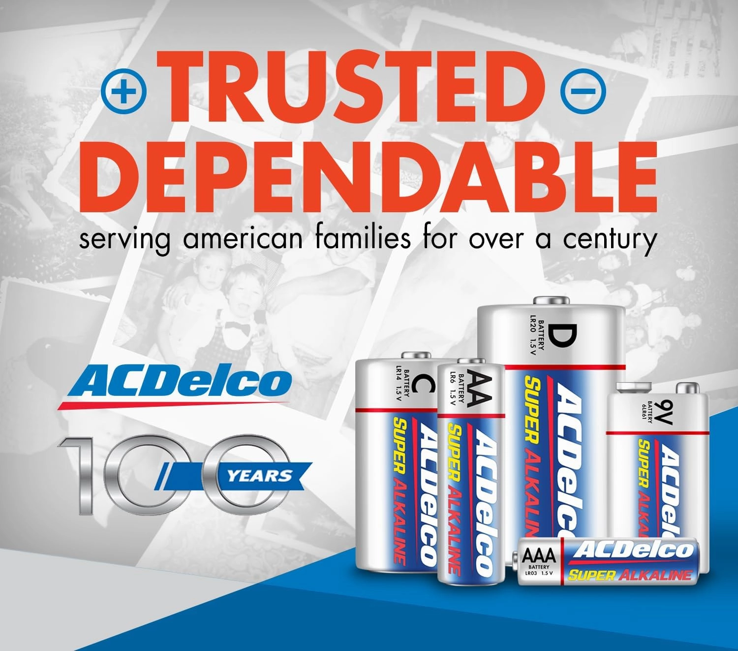 ACDelco 48-Count Double AA Batteries, Maximum Power Super Alkaline Battery, 10-Year Shelf Life, Reclosable Packaging