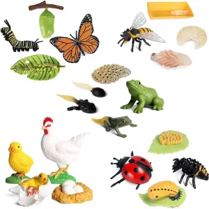 Animals Figures, 20pcs Insect Toys, Life Cycle of Action Model, Plastic Bug Figurines Toy, Early Educational Toys Science Project Christmas Birthday Gift for Kids (Set A)