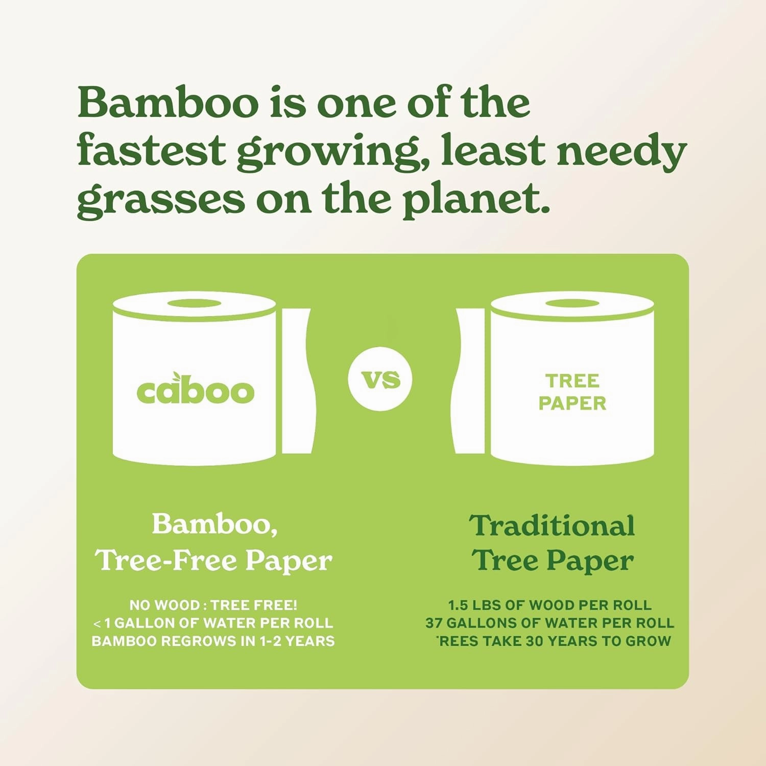 Caboo Tree Free Paper Towels, 6 Rolls, Eco Friendly, Earth Friendly, Sustainable Kitchen Paper Towels with Strong 2 Ply Sheets