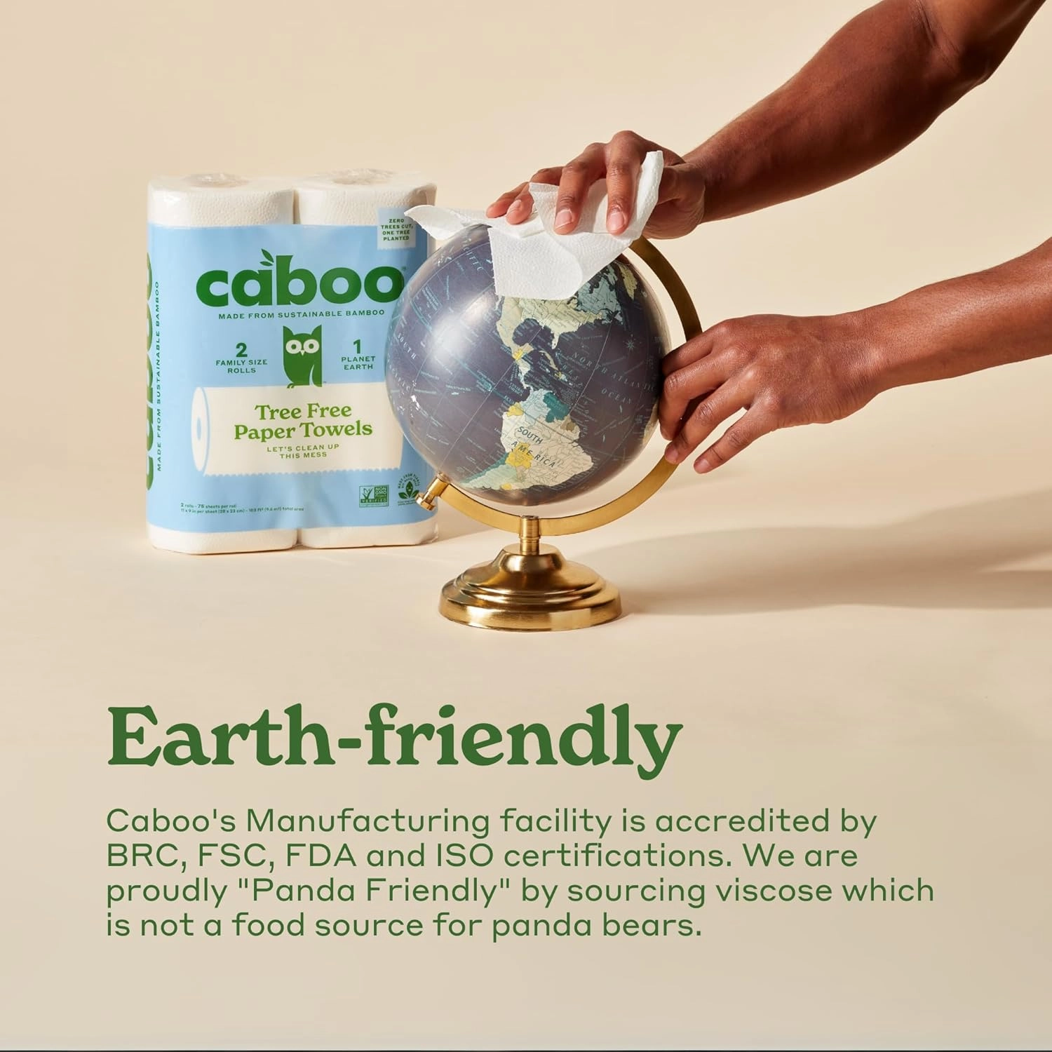 Caboo Tree Free Paper Towels, 6 Rolls, Eco Friendly, Earth Friendly, Sustainable Kitchen Paper Towels with Strong 2 Ply Sheets