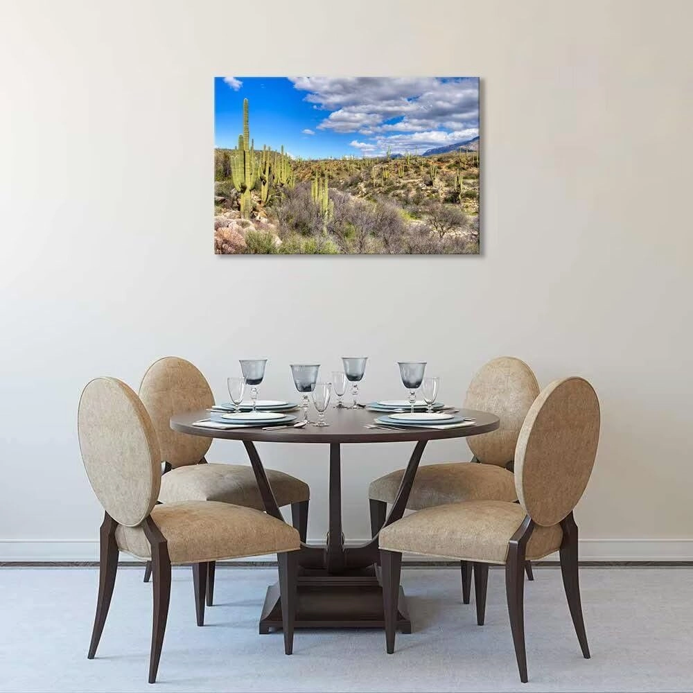 chenchenArt Cactus Wall Art for Living Room Bedroom Bathroom Home Decorations Catalina Mountain State Park near Tucson Picture Poster Canvas Prints Modern Artwork Framed Ready to Hang(12''H x 18''W)