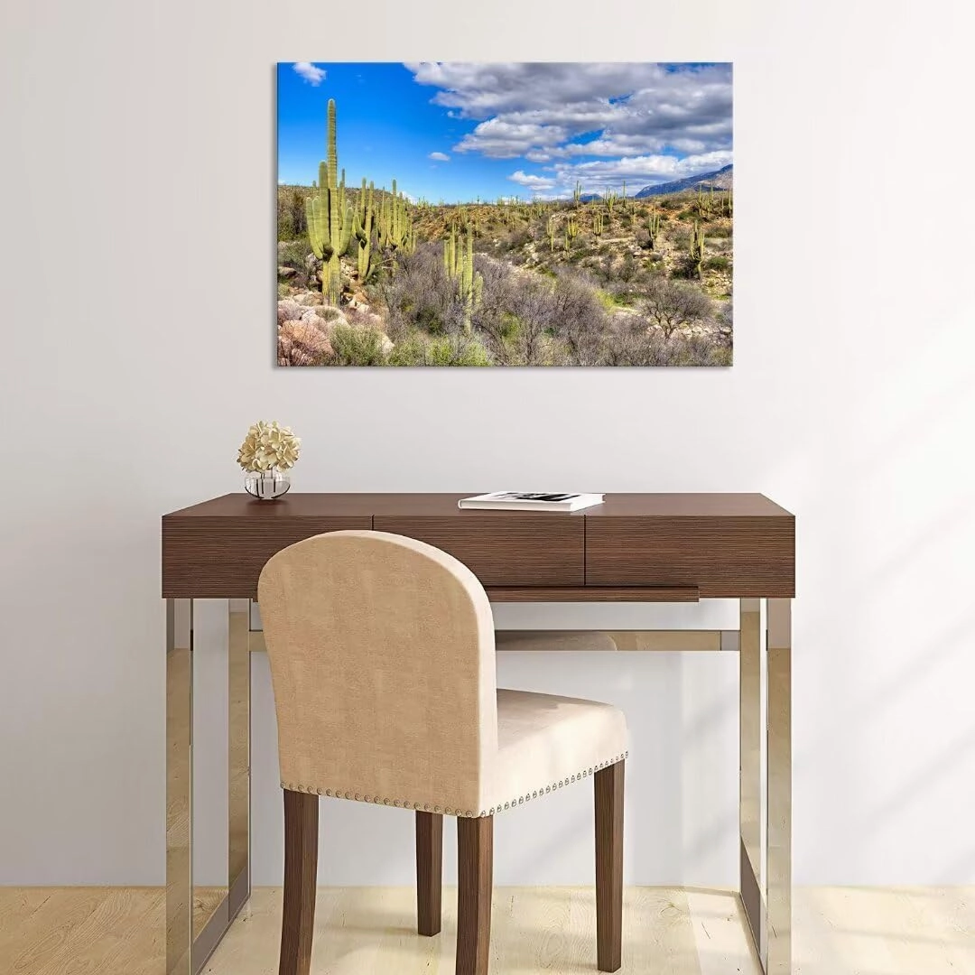 chenchenArt Cactus Wall Art for Living Room Bedroom Bathroom Home Decorations Catalina Mountain State Park near Tucson Picture Poster Canvas Prints Modern Artwork Framed Ready to Hang(12''H x 18''W)