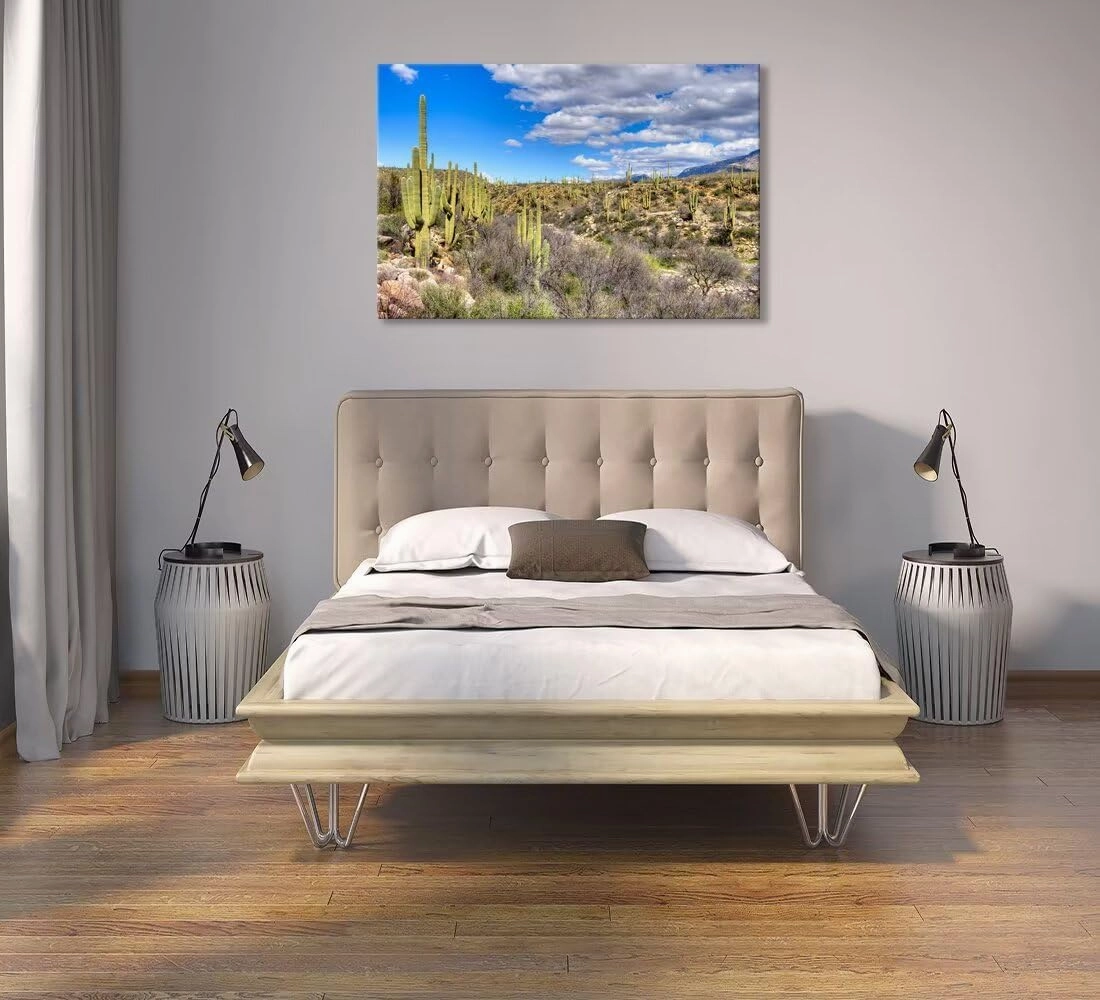 chenchenArt Cactus Wall Art for Living Room Bedroom Bathroom Home Decorations Catalina Mountain State Park near Tucson Picture Poster Canvas Prints Modern Artwork Framed Ready to Hang(12''H x 18''W)