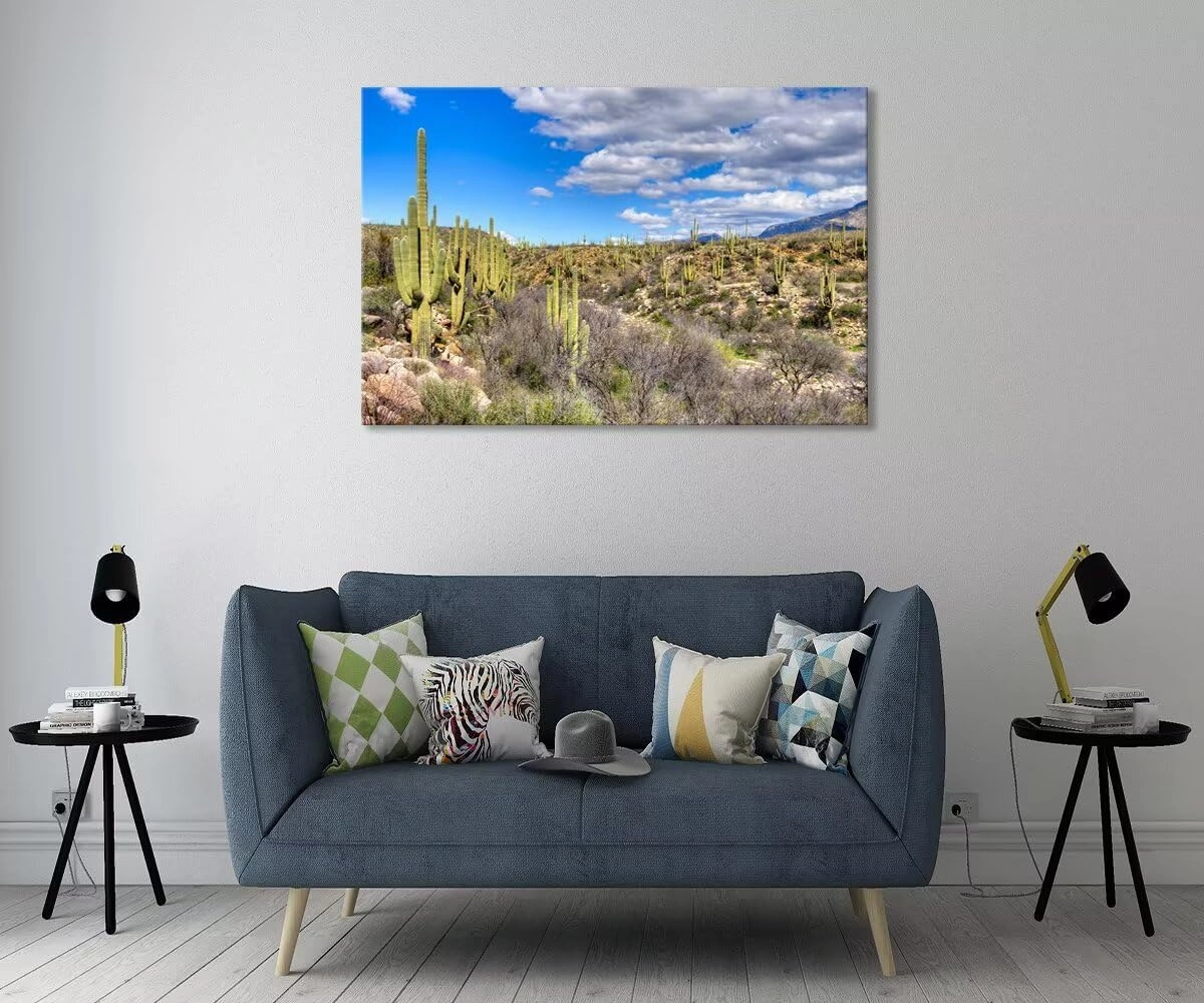 chenchenArt Cactus Wall Art for Living Room Bedroom Bathroom Home Decorations Catalina Mountain State Park near Tucson Picture Poster Canvas Prints Modern Artwork Framed Ready to Hang(12''H x 18''W)