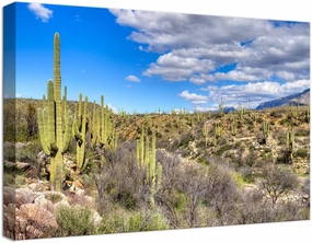 chenchenArt Cactus Wall Art for Living Room Bedroom Bathroom Home Decorations Catalina Mountain State Park near Tucson Picture Poster Canvas Prints Modern Artwork Framed Ready to Hang(12''H x 18''W)