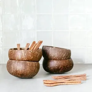 Coconut Shell Bowl Set