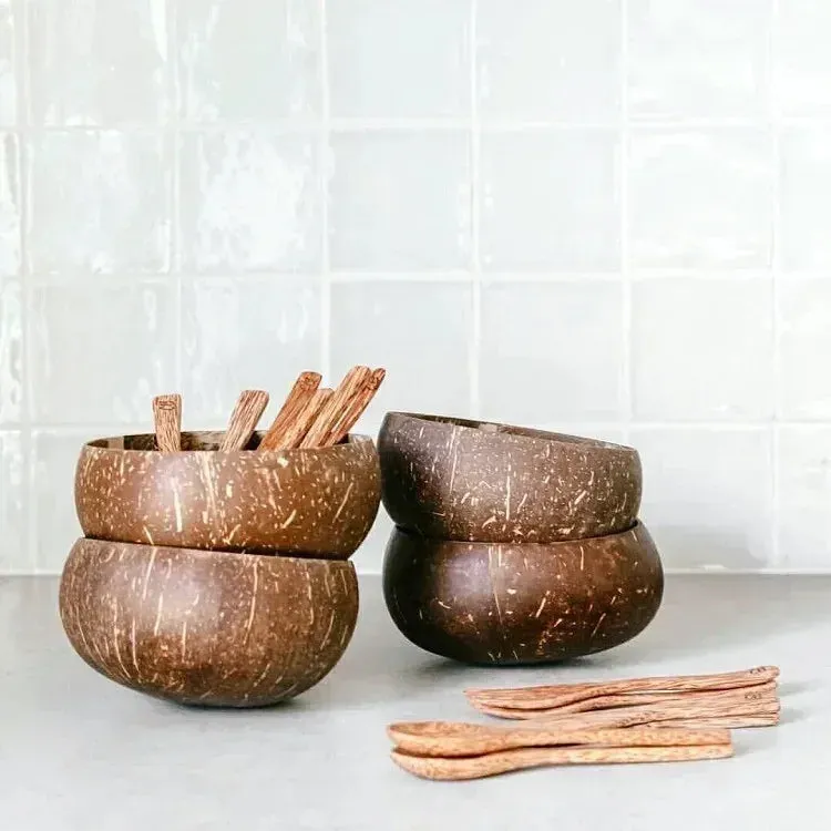 Coconut Shell Bowl Set
