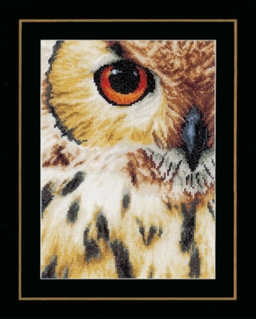 Counted Cross Stitch Kit-Owl, 100% Cotton, Multi, 19x1x26 cm