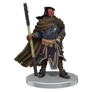 D&D Icons of the Realms Hobgoblin Warband