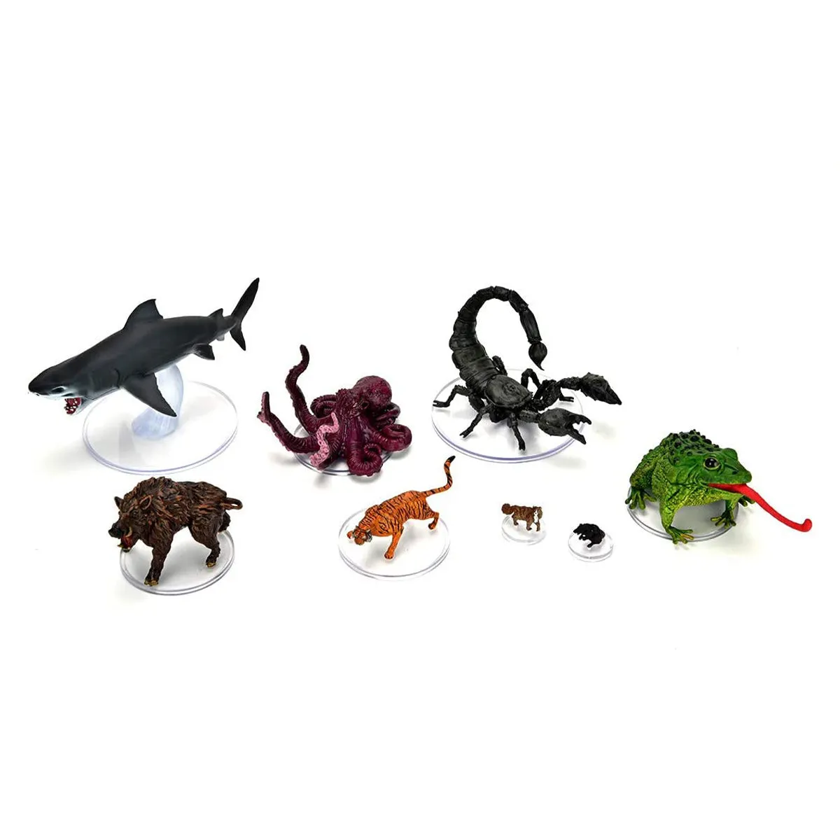 D&D Icons of the Realms Wild Shape & Polymorph Set 1
