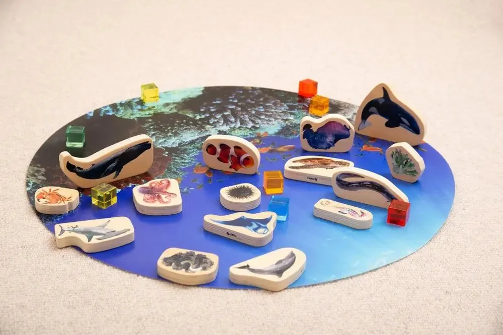 Discovery table sea bundle