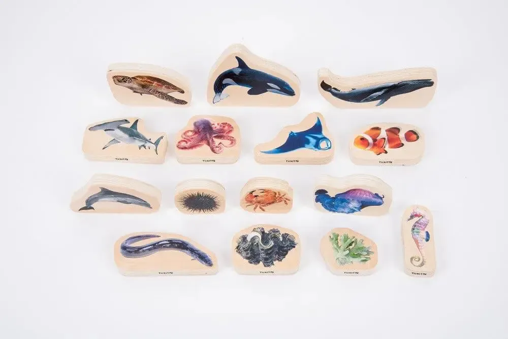 Discovery table sea bundle