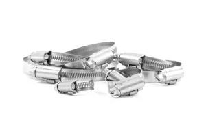 Forge Motorsport Hose Clamp Kit For FMKTSC