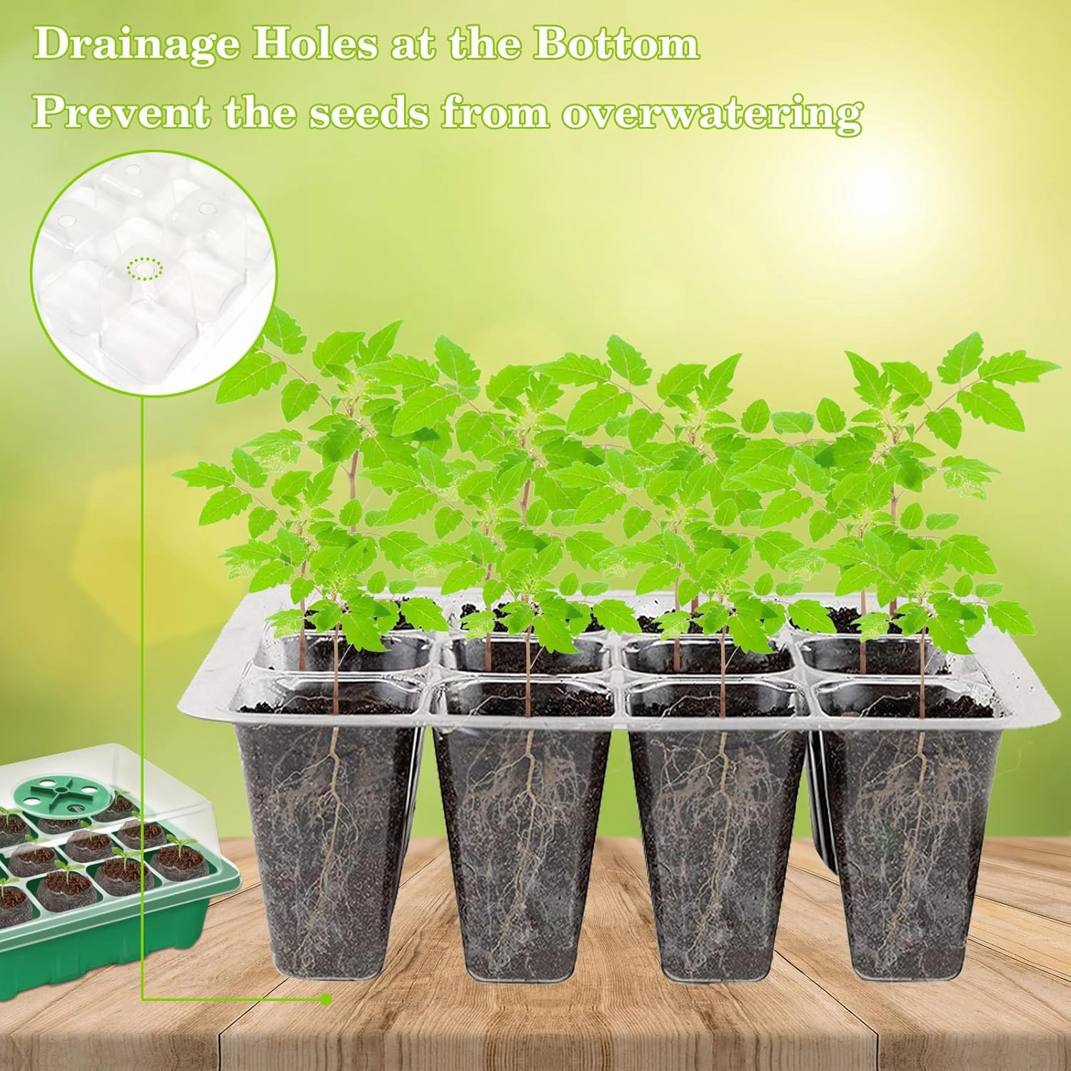 Halatool Seed Starter Kit 4 Pack 48 Cells Green Seed Starter Tray with 50 PCS Peat Pellets for Seedlings Organic Seed Stater Soil Pods for Planting Vegetables Plants Flowers Starting Seeds