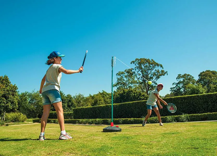 HART Swing Ball Set