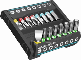 HAZET Smart Holder 2304SH-1| Pratico portautensili da 16 pezzi, Azionamento: 6,3 (1/4 di pollice) Azionamento: profilo a fessura, profilo Phillips PH, profilo esagonale interno, profilo TORX interno
