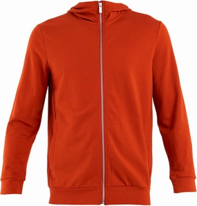Icebreaker Merino Men's Central Classic Ls Zip Hoodie