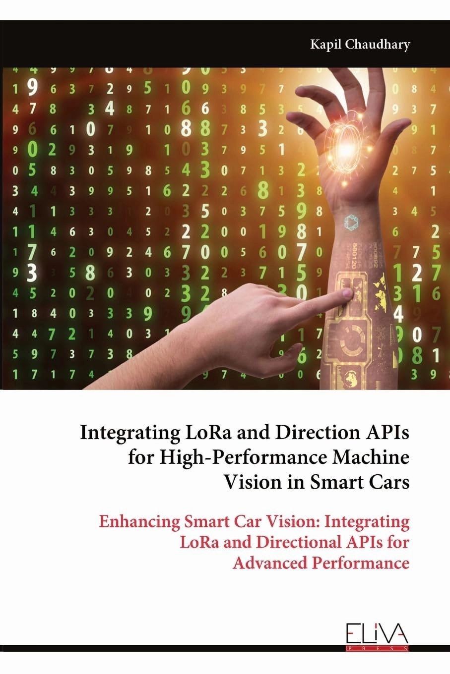 Integrating LoRa and Direction APIs for High-Performance Machine Vision in Smart Cars: Enhancing Smart Car Vision: Integrating LoRa and Directional APIs for Advanced Performance