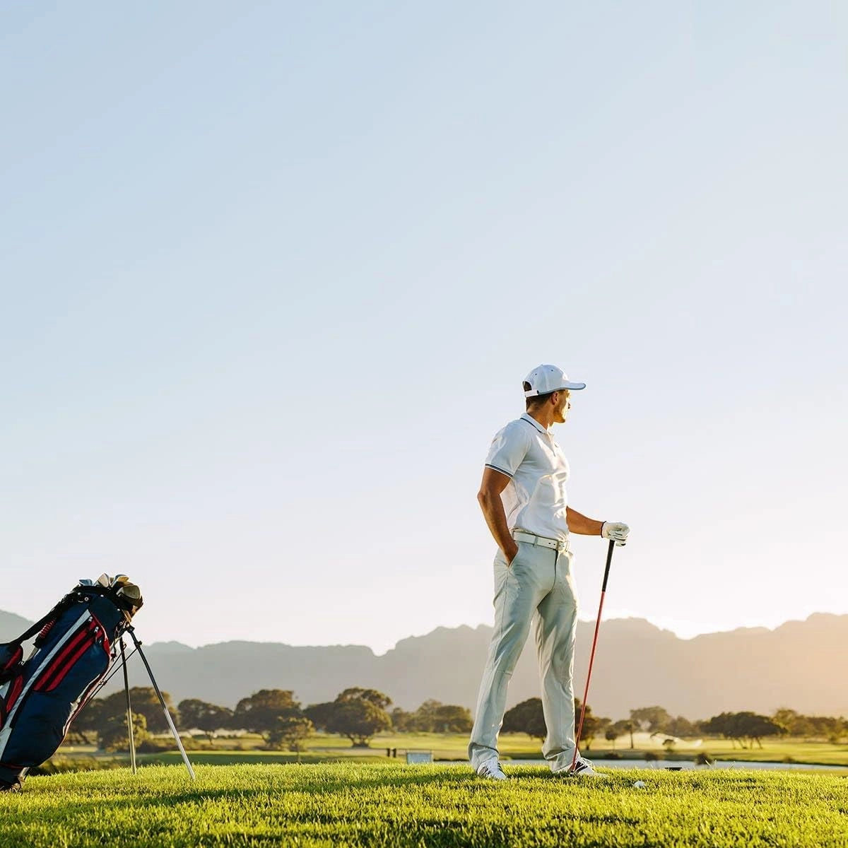 LIGNUM Tee - Classic Golf Tees - Sports Golf Tees - Anti Spin Head, Bio-Based Micro Wood, 50x Durable