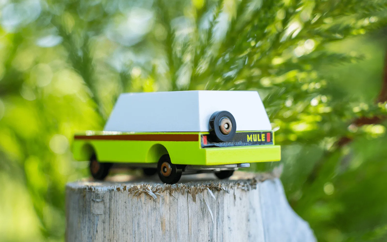 Magnetic Mule cars