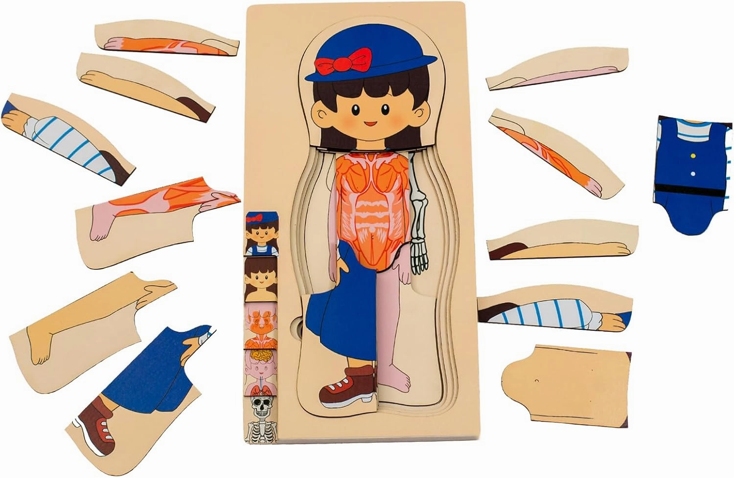 My Body Puzzle for Toddlers Kids Girls Montessori Wooden Anatomy Puzzle Play Set 3-8 Years Old Preschool Learning Game Human Body Skeleton Toys