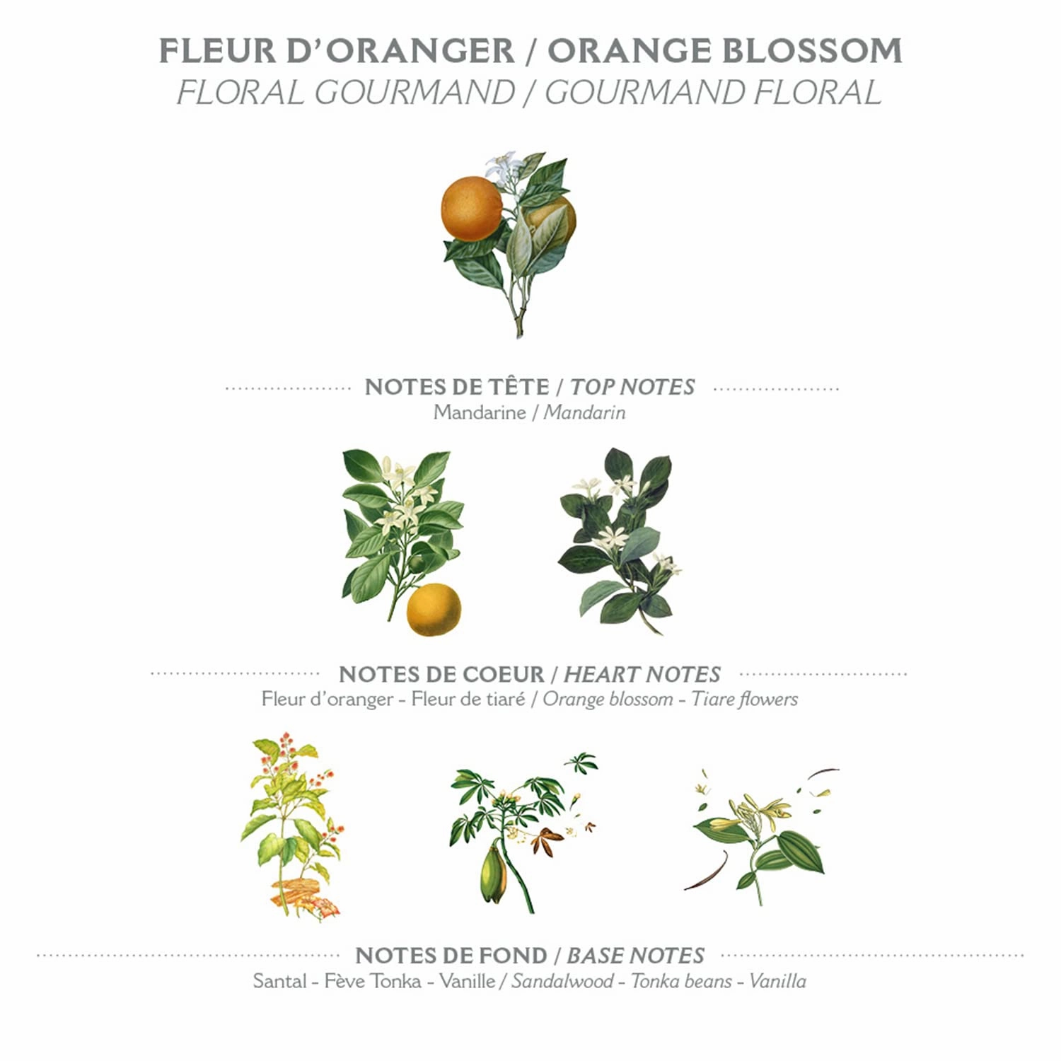 Panier des Sens - Liquid Hand Soap Refills – Orange Blossom Foaming Hand Soap Refill – French Coconut Oil Moisturizing Hand Wash - Kitchen & Bathroom Hand Wash- Soft Soap Refill 96% Natural - 34 Floz