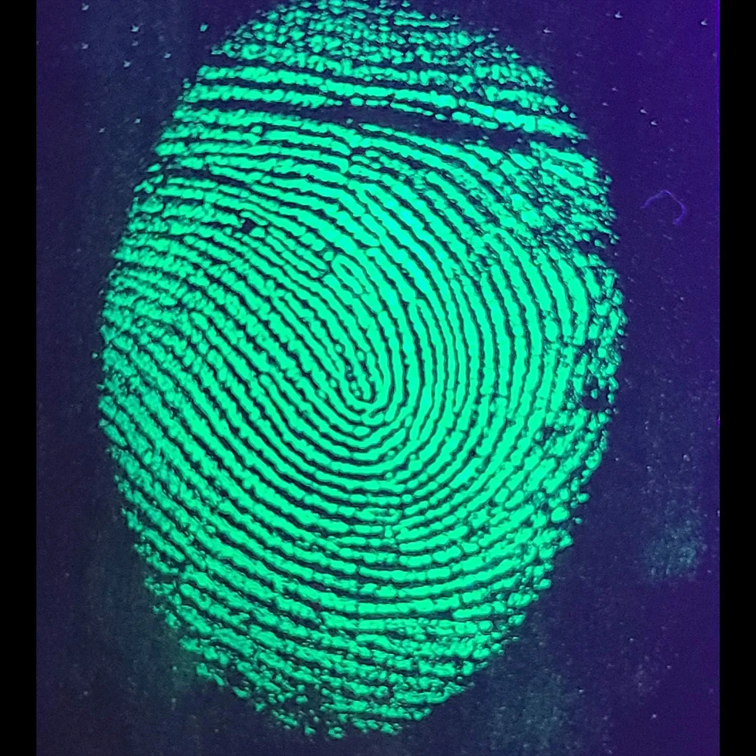 Printing with Fluorescent Magnetic Powder – ForensiKit – Explore Crime Scene Processing Techniques