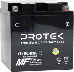 Protek YTX30L-BS YIX30L-BS YB30L-B GYZ32HL 53030 Y60-N24AL-B 12V 30Ah Sealed AGM Gel Type Battery Maintenance Free Factory Activated For Motorcycle Jet Ski Powersports PWC Snowmobile ATV UTV
