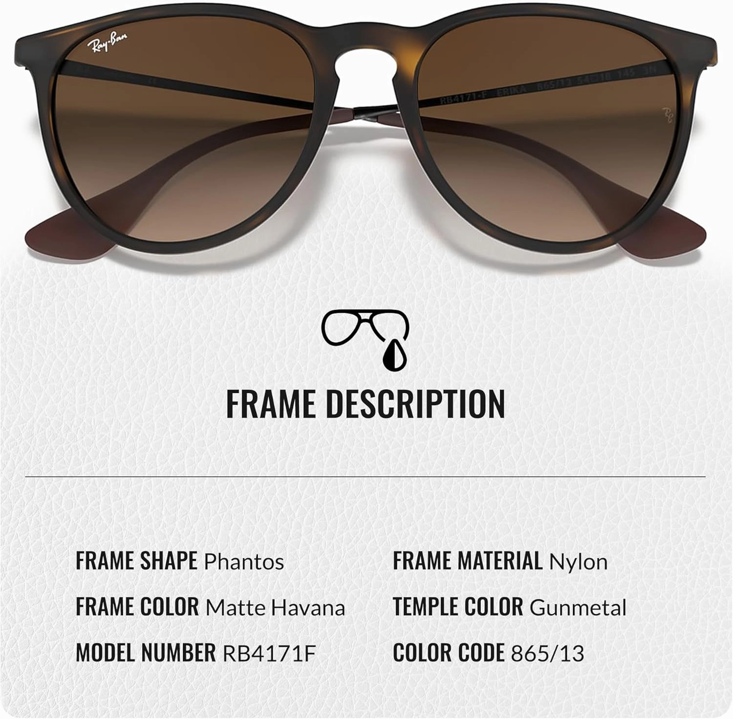 Ray-Ban RB4171 ERIKA Color Mix Phantos Shape Sunglasses With Eyewear Kit Bundle - High Bridge Fit - Retro Sunglasses