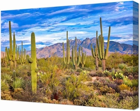 Saguaro and Four Peaks Canvas Wall Art Picture - Cactus Wall Art for Living Room Bedroom Bathroom Home Decorations Framed Artwork Ready to Hang(12''H x 18''W)