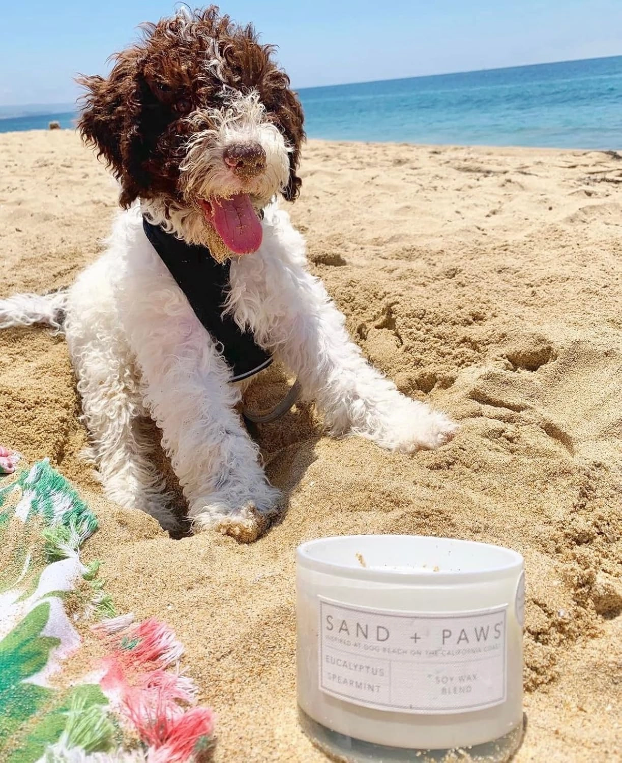 Sand   Paws Scented Candle - Ocean & Sea Salt - Additional Scents and Sizes –Luxurious Air Freshening Jar Candles Neutralize pet Odors and Enhance Home décor – 100% Cotton Lead-Free Wicks - 12 oz