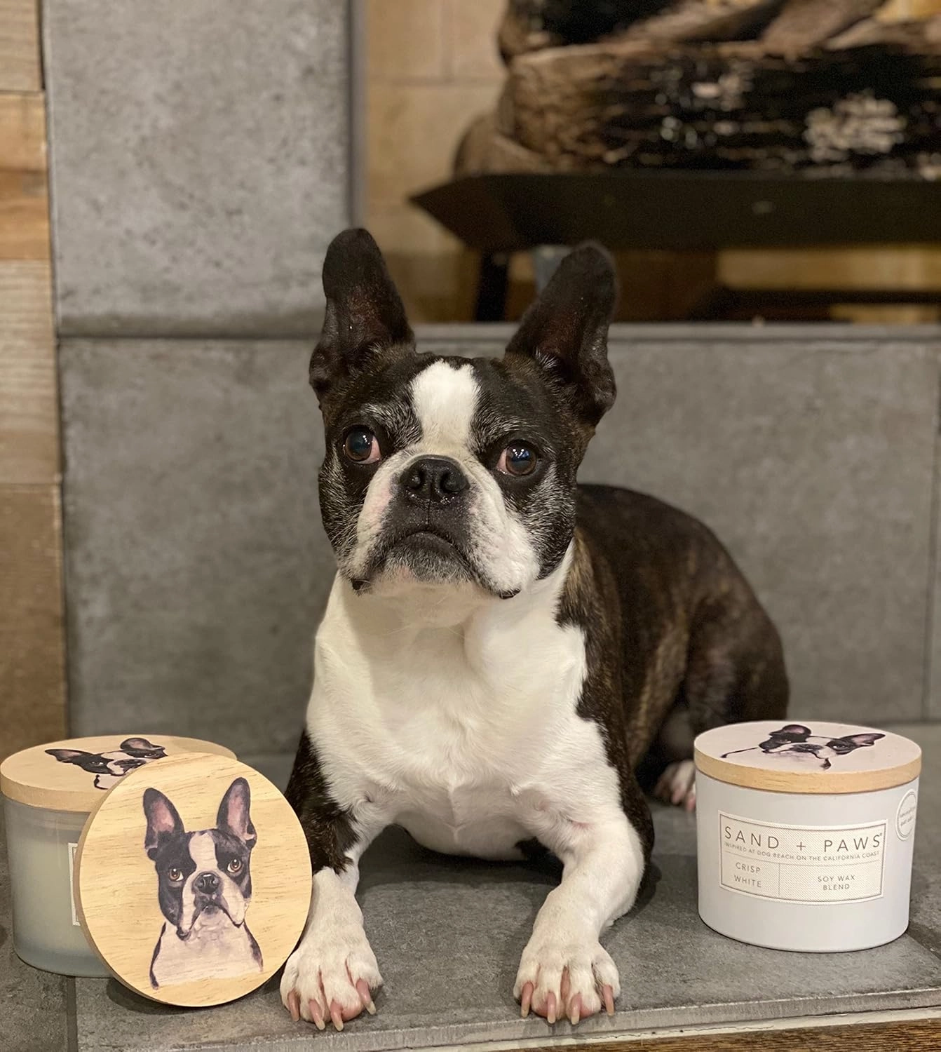 Sand   Paws Scented Candle - Ocean & Sea Salt - Additional Scents and Sizes –Luxurious Air Freshening Jar Candles Neutralize pet Odors and Enhance Home décor – 100% Cotton Lead-Free Wicks - 12 oz