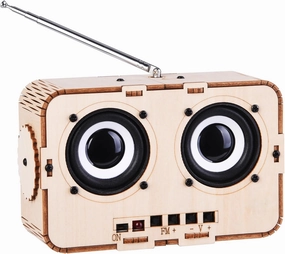 Science Kits for Kids Large Size, Building Your Own DIY Radio Kit, 3D Puzzle Kits for Kids, STEM Project Gifts for Teen Girls Boys 8-12 12-14 (Classic Wood)