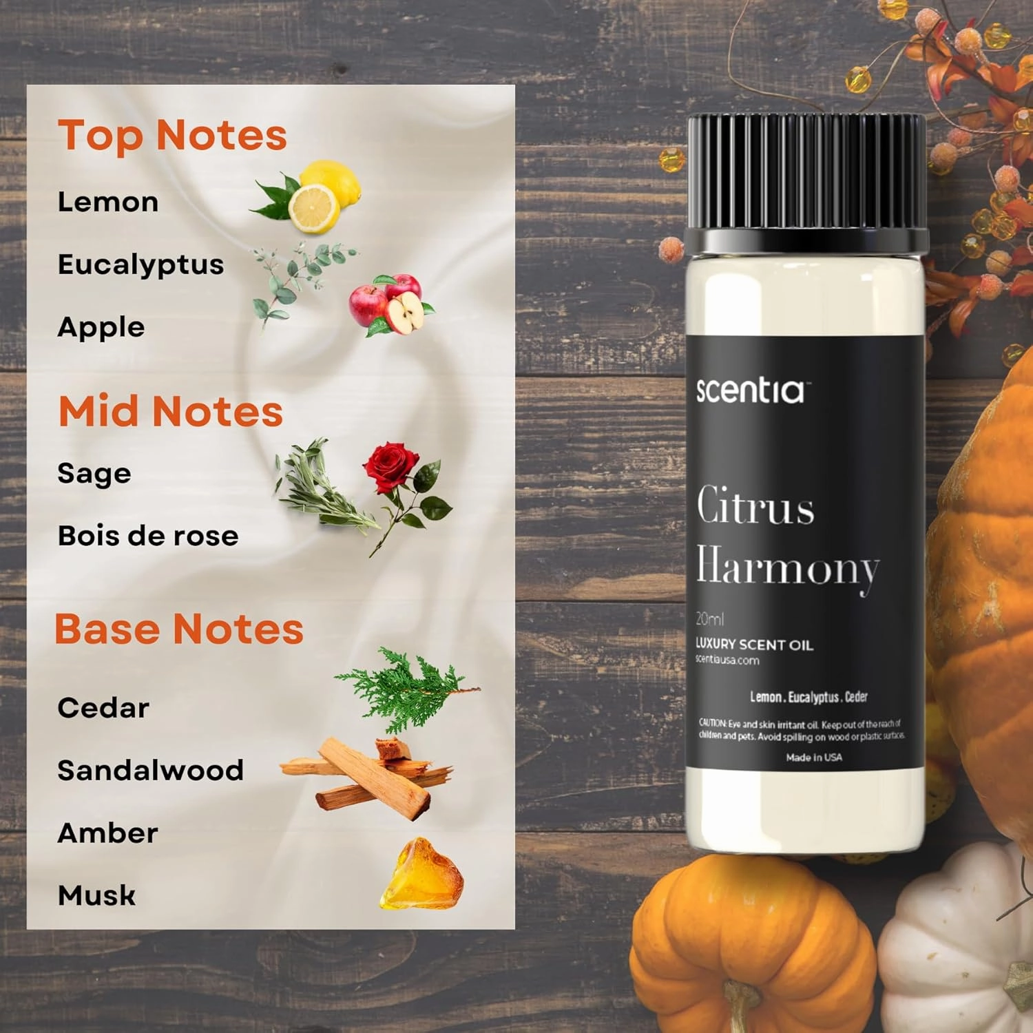 Seasonal Fragrance Oil Set – Warm Cinnamon, Lemon,Eucalyptus, Sage, Cedar & Pine Spice – 3x20ml Aromatherapy Essential Oils for Diffusers, Candle Making, Mothers Day Gift