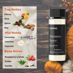 Seasonal Fragrance Oil Set – Warm Cinnamon, Lemon,Eucalyptus, Sage, Cedar & Pine Spice – 3x20ml Aromatherapy Essential Oils for Diffusers, Candle Making, Mothers Day Gift