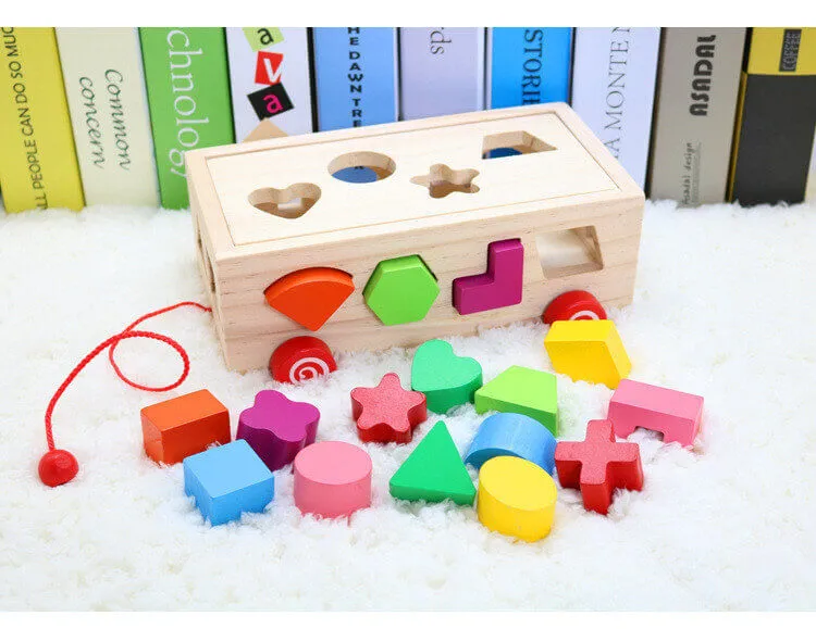 Shape Matching Building Blocks - Sixteen Hole Intellectual Box