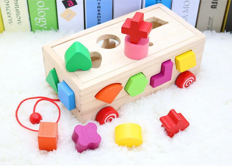 Shape Matching Building Blocks - Sixteen Hole Intellectual Box