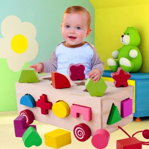 Shape Matching Building Blocks - Sixteen Hole Intellectual Box