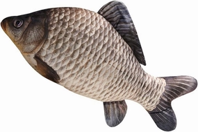 Simulation Crucian Carp Plush Toy/Toy Pillow/Stuffed Animal Toy, Fish Shape Pillow，Used for Home Decoration Gifts, (31.5 inches / 80 cm)