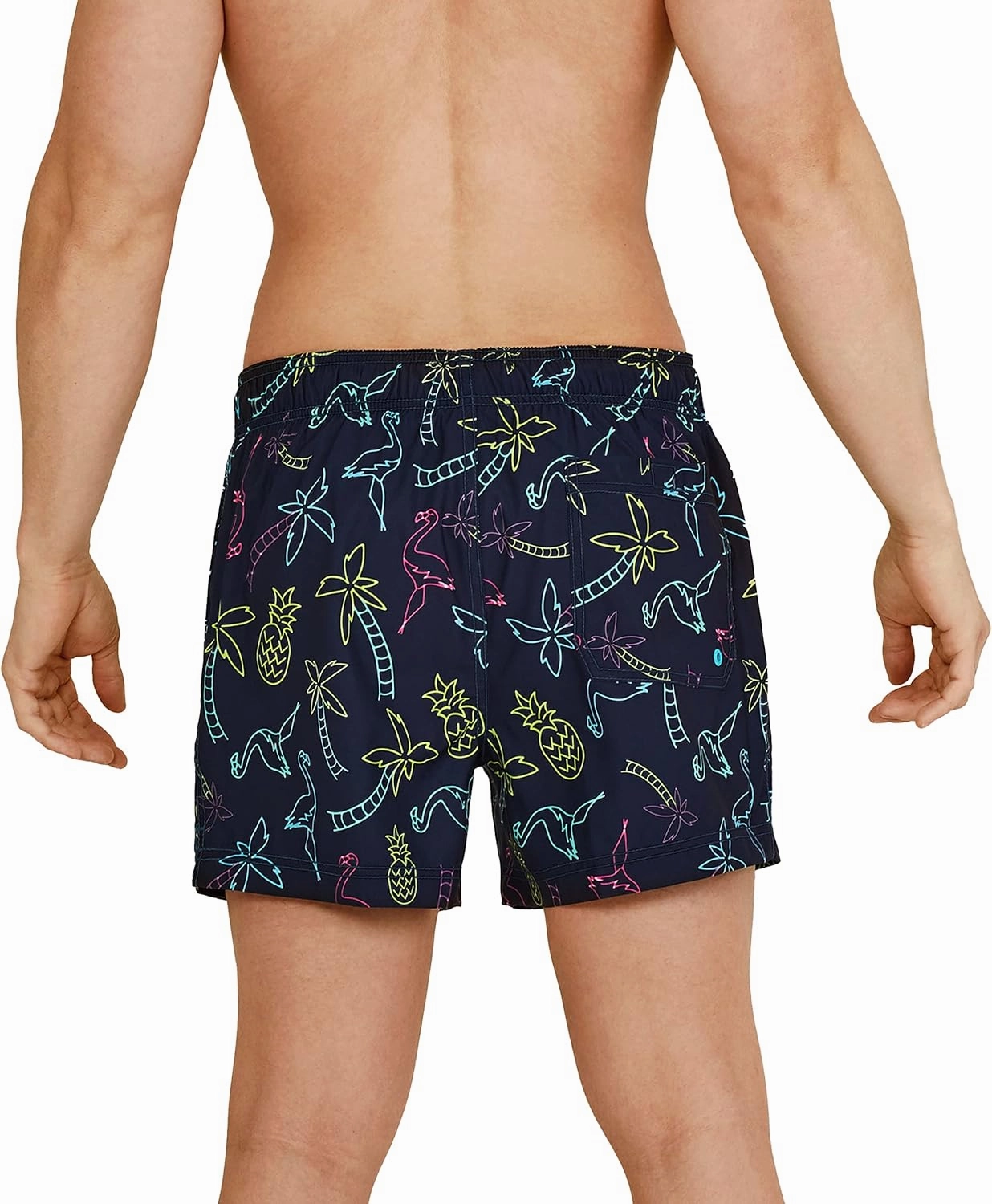Speedo Men's Swim Trunk Short Length Redondo Striped