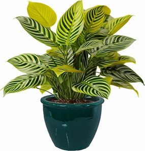 Sunnydaze 14.5" Large Ceramic Plant Pot - Round Outdoor Glazed Ceramic Planter Pot with Drainage - Dark Green - Chalet