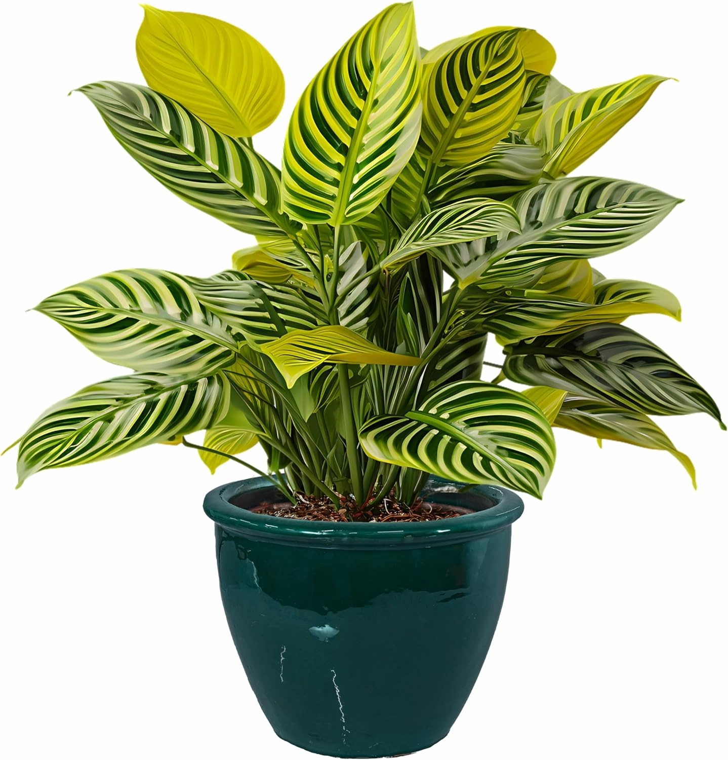 Sunnydaze 14.5" Large Ceramic Plant Pot - Round Outdoor Glazed Ceramic Planter Pot with Drainage - Dark Green - Chalet