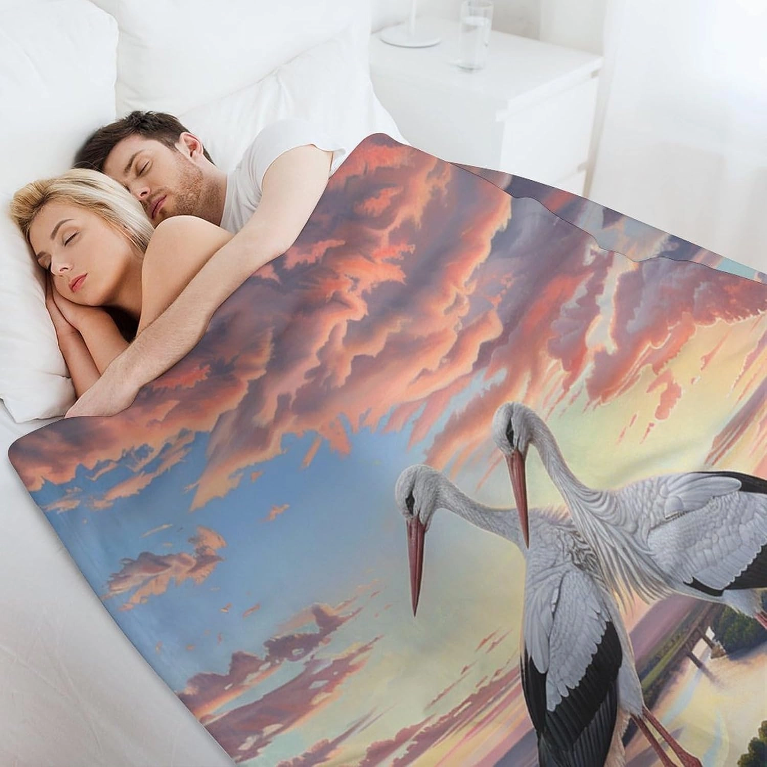 Sunset Bird Blanket Gifts for Kids Women, Soft Cozy Fuzzy Lightweight Cloud Stork Egg Stream Jungle Throw Blankets for Couch Birthday Bedroom, 60x80 Inch