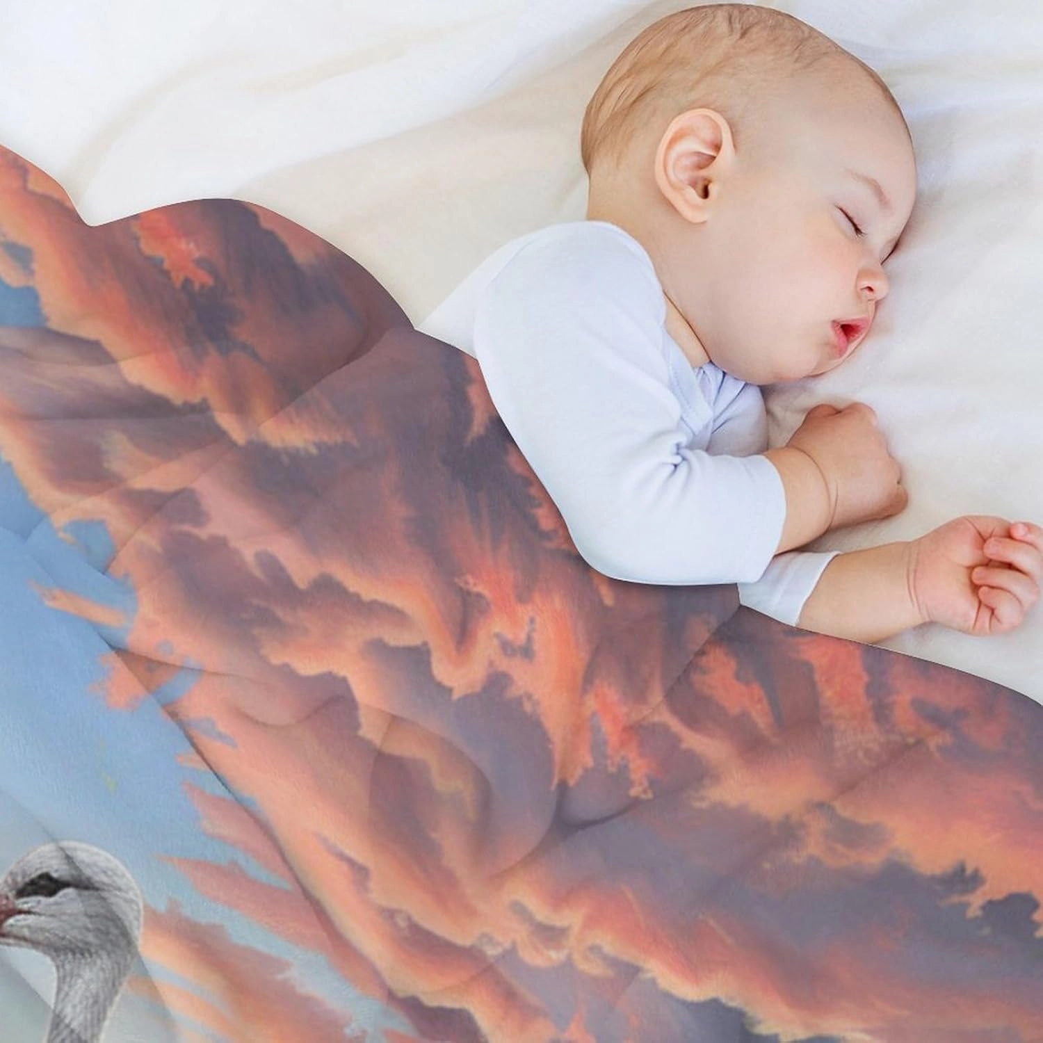 Sunset Bird Blanket Gifts for Kids Women, Soft Cozy Fuzzy Lightweight Cloud Stork Egg Stream Jungle Throw Blankets for Couch Birthday Bedroom, 60x80 Inch