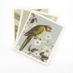 Swedish Dishcloth 3 Pack - Birds & Botanicals