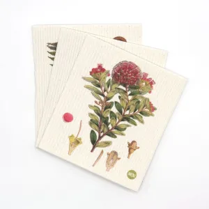 Swedish Dishcloth 3 Pack - Botanical Illustrations