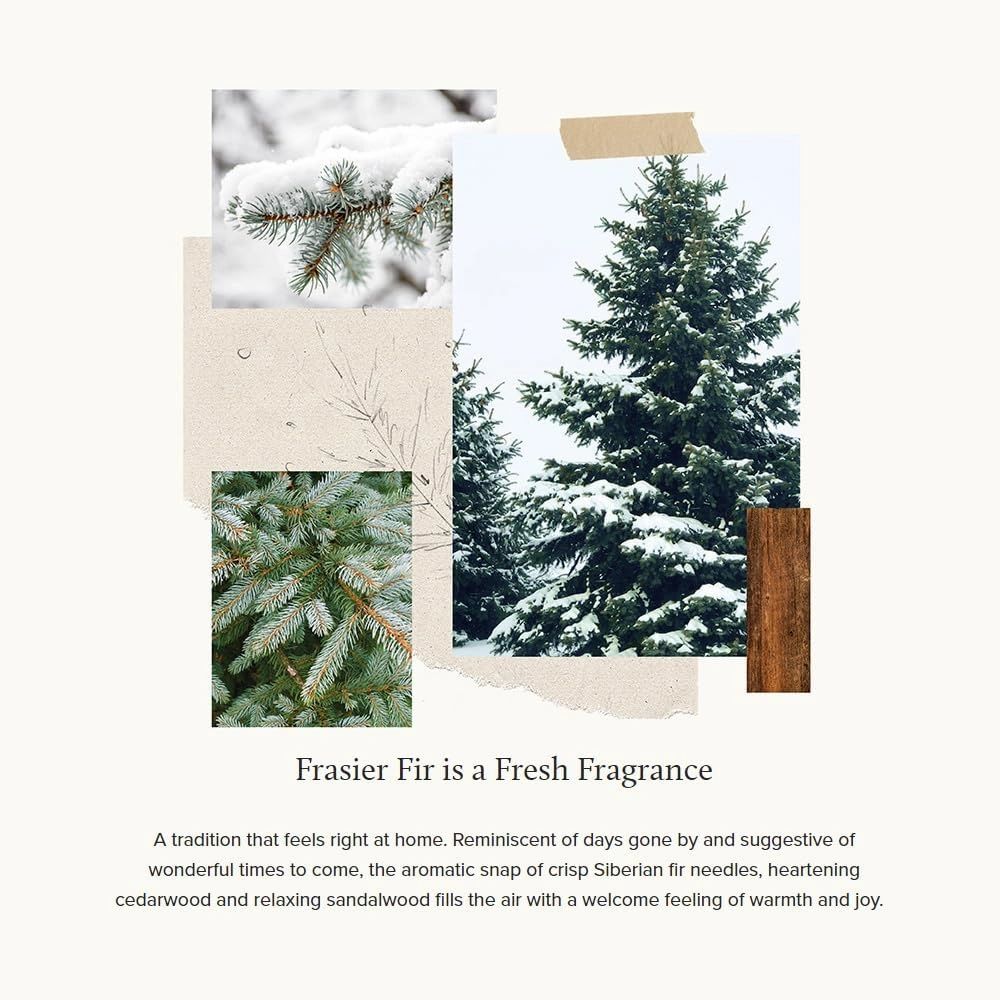 Thymes Reed Diffuser Oil Refill - Diffuser Oils Scents for Home Refill - Use for Reed Stick Room Air Fresheners (Frasier Fir, 7.75 fl oz)
